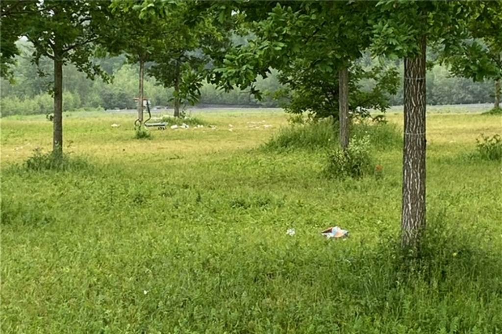 Hörde versinkt im Müll: „Die Kinder, die hier aufwachsen, tun mir Leid“ Einkaufswagen und Mülltüten: Auch an den Emscherpromenaden ist in den letzten Jahren eine stärkere Vermüllung auffällig geworden. Der Umgang mit dem öffentlichen Raum habe sich geändert, so die EDG.