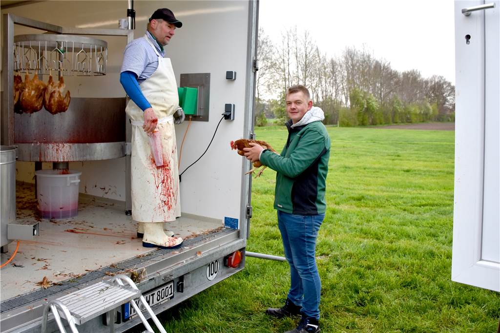 Letzte Reise für 150 Legehennen ist in Ammeloe nur wenige Meter lang Eins nach dem anderen wurden die Hühner aus dem mobilen Stall in die mobile Geflügelschlachtung herübergetragen. Einen langen Transport in einen Schlachthof wollte Familie Lansing den Tieren ersparen.