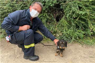Einsatzleiter Thorsten Schadwinkel lockte Dackeldame Flocke aus dem Fuchsbau.