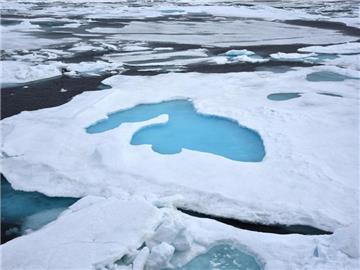Eisdecke am Nordpol: Das blauschimmernde Eis im Schmelztümpel zeigt an, das es sich um mehrjähriges und nicht um frisches Eis handelt. Foto: Ulf Mauder/Archiv