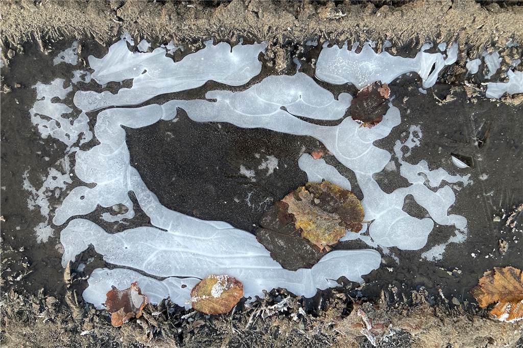 Eiserne Pfützen auf einem Feldweg hat unser Fotograf Günther Goldstein abgelichtet.