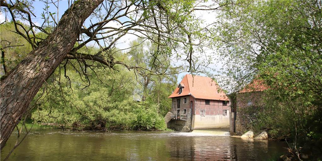 Stauwehr in Olfen: Kreis hat Angebote zur Sanierung der Füchtelner Mühle Ende April wurde das Wasser an der Füchtelner Mühle abgesenkt, um das Stauwehr kontrollieren zu können. Dabei waren die massiven Schäden der Bausubstanz aufgefallen. In wenigen Wochen soll die Reparatur starten.