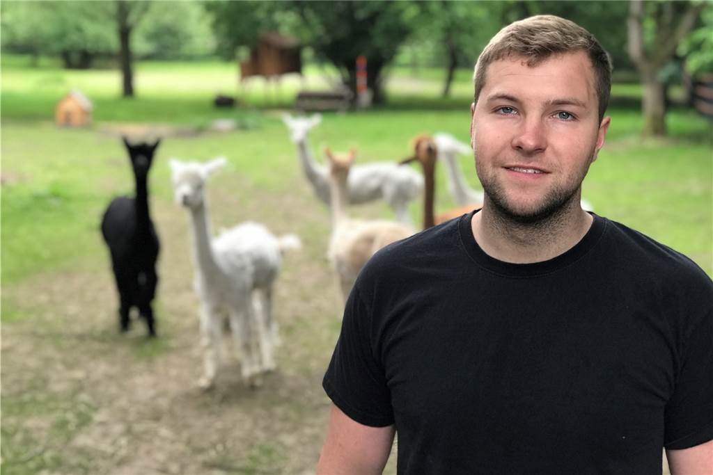 Neuer Alpaka-Hof in Dingen: Wanderungen mit Mozart, Vivaldi und Quäntchen Glück Enno Giese wohnt auf dem Hof und brachte seine Mutter auf die Idee.