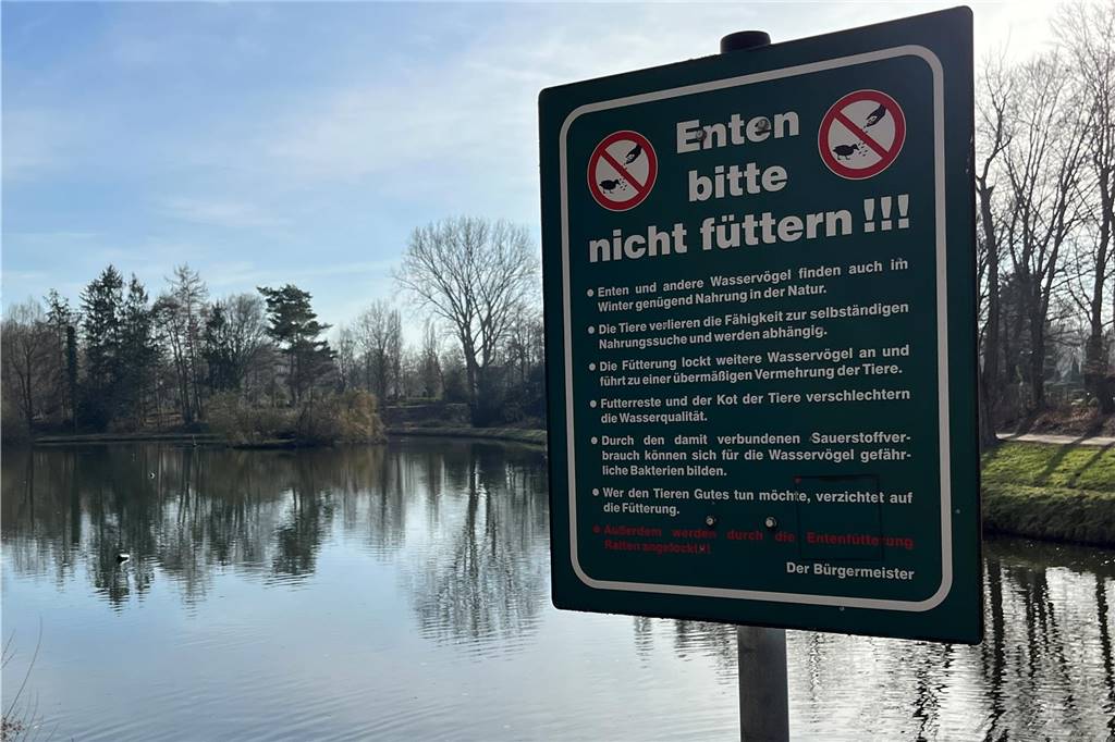 Aggressive Tier-Fütterer: 6-Jährige traut sich nicht mehr zum Stadtsee Hinweis-Schild, dass das Füttern von Enten am Stadtsee in Werne nicht erlaubt ist.