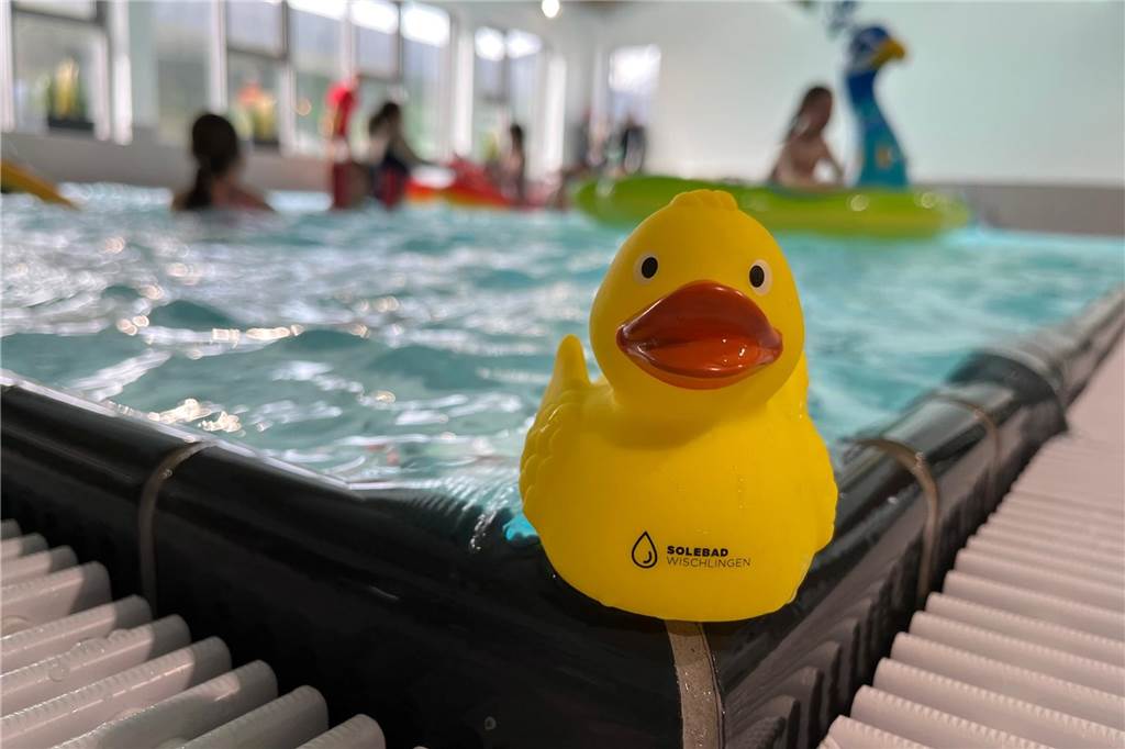 Dortmund lässt seine Schwimmbäder verkommen - aus Absicht? Enten wie Kinder fühlen sich offenbar wohl im Revierpark Wischlingen.