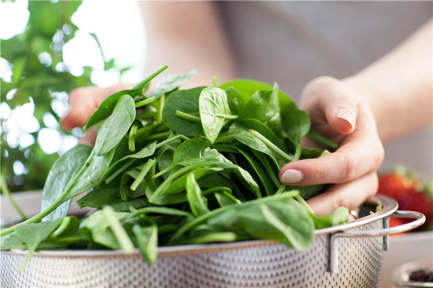 Gesund oder ungesund? Zehn Ernährungsmythen im Check Frischer Spinat in einem Sieb