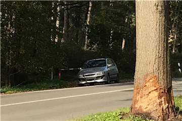Entlang der Recklinghäuser Straße parken in den letzten Tagen immer öfter Waldbesucher die Schranken zu.
