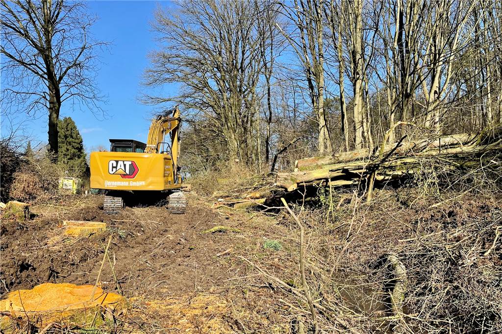 Heisterbach soll ganz natürlich fließen – dafür werden Bäume gefällt Entlang der Straße Am Heisterbach sind die Rodungen schon fast abgeschlossen.