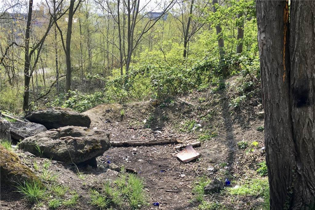 Müll und Ärger am Viadukt – Beleuchtung scheitert an den Kosten Entlang der Wege liegen Pizzakartons, Flaschen und Dosen im Gebüsch.