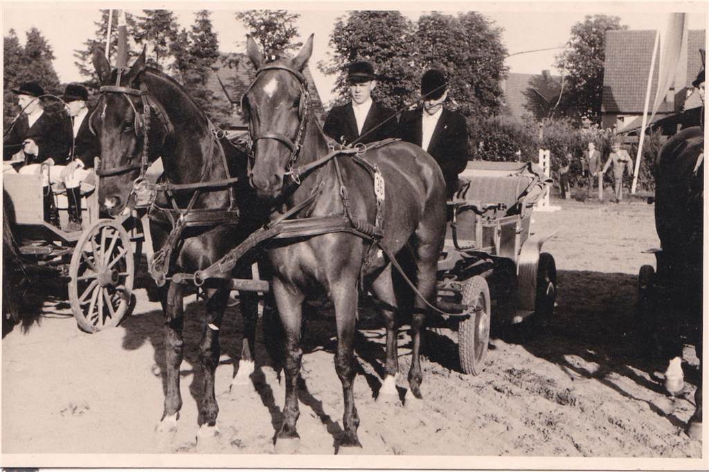 Bleibt Attraktivität 100 Jahre? Antworten aus dem Reitverein Legden Erfolgreicher Fahrsport: Zweiter Platz 1958 beim Zweispännerfahren mit Hermann Terhörst auf dem Bock.
