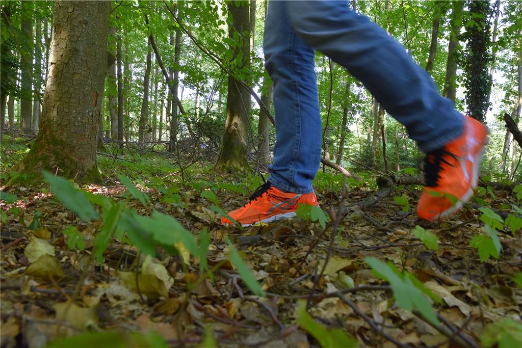 10 Dinge, die Sie im Wald dürfen - und 10 Dinge, die verboten sind Erlaubt: querfeldein und fernab der Wege durch den Wald zu gehen.
