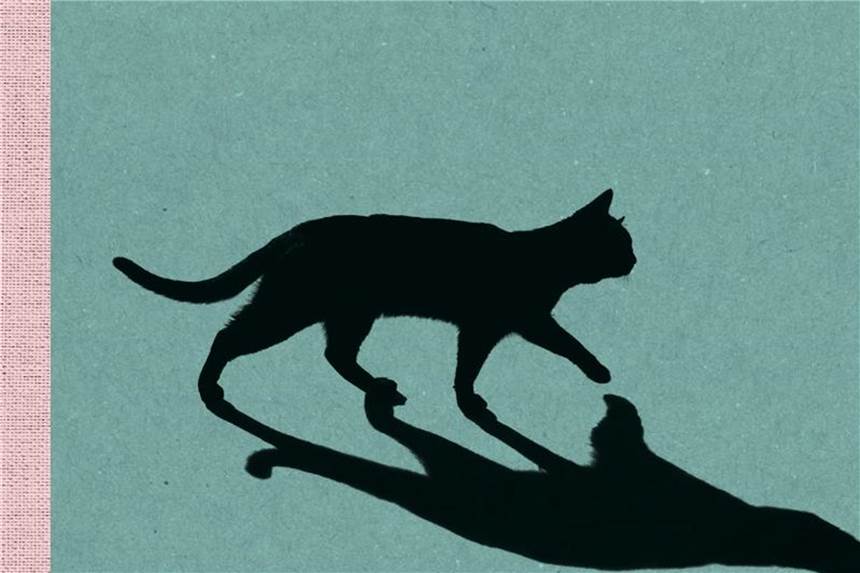 „Die Katze“ - Colette klingt immer noch modern Erneut auf Deutsch erschienen: „Die Katze“ von Sidonie Gabrielle Colette. Foto: Ebersbach & Simon