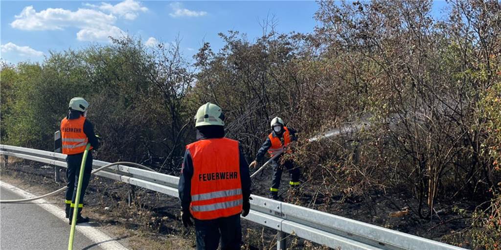 Brandserie: Erneut Feuer an Bundesstraße und Autobahn in Dorsten Drei Feuerwehrleute beim Flächenbrand an der L 608