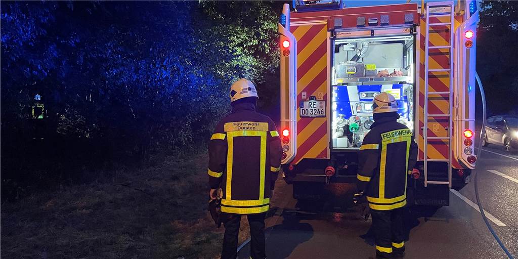 Unheimliche Brandserie in Dorsten: Feuerwehr kommt nicht zur Ruhe Erneut brannte es in einem Waldstück in Dorsten am Mittwochabend. Dieses Mal am Wittenberger Damm.