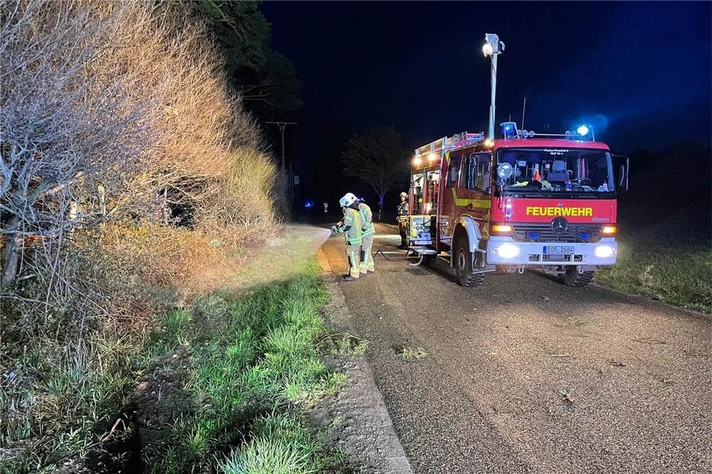 Sturmtief kappt Stromleitungen: Feuer an der Westerlandwehr Raesfelder Feuerwehrleute löschen einen Brand im Unterholz an der Westerlandwehr.