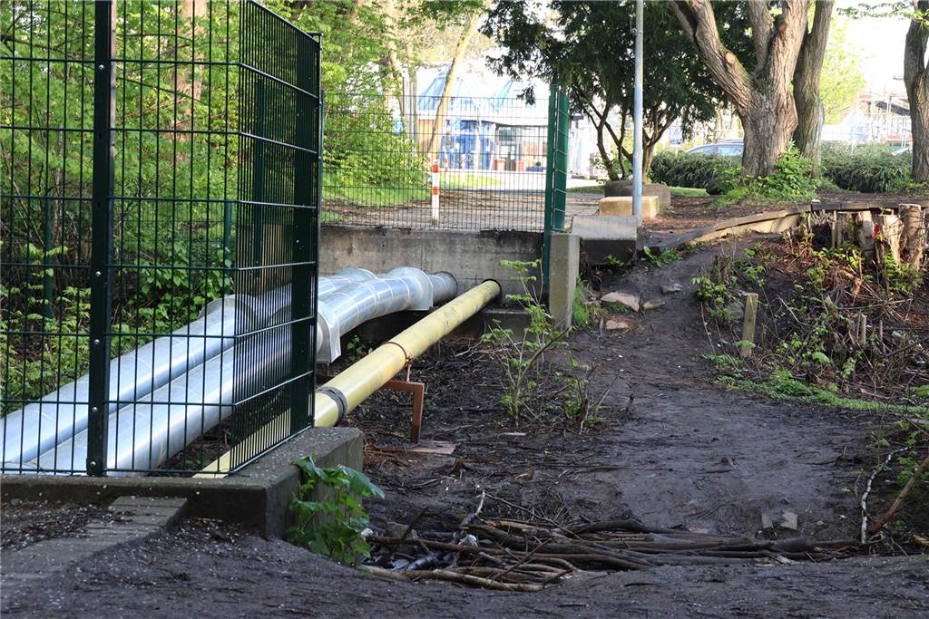 Eklig und beängstigend: Dortmunder Gymnasium kämpft für besseren Schulweg Erst im Mai soll eine neue Brücke über den Weustgraben die kurze Verbindung zwischen Bushaltestelle und Schule wieder herstellen. Wenige Schüler nutzen derweil die aus Ästen und Stämmen selbst gebaute Bach-Querung.