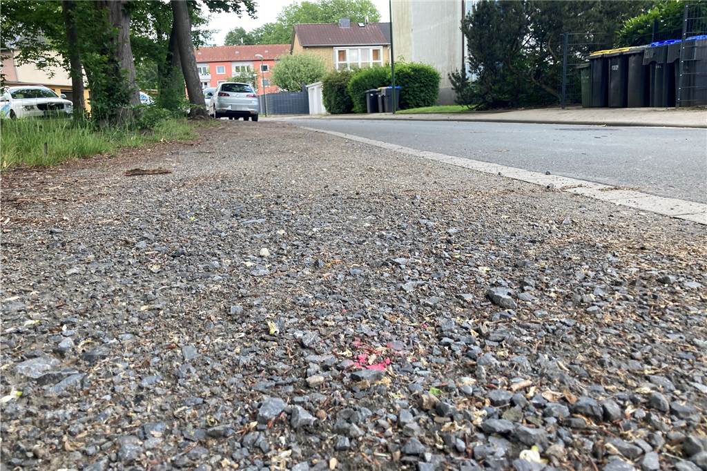 Holzpoller für Baumschutz: Anwohner am Bindemeer fürchten um Parkplätze Erste Markierungen für die geplanten Holzpoller entlang der Straße Am Bindemeer sind bereits zu sehen. Die Planungen der Stadtverwaltung sind allerdings noch nicht abgeschlossen. Vielleicht ist auch ein Kompromiss möglich.