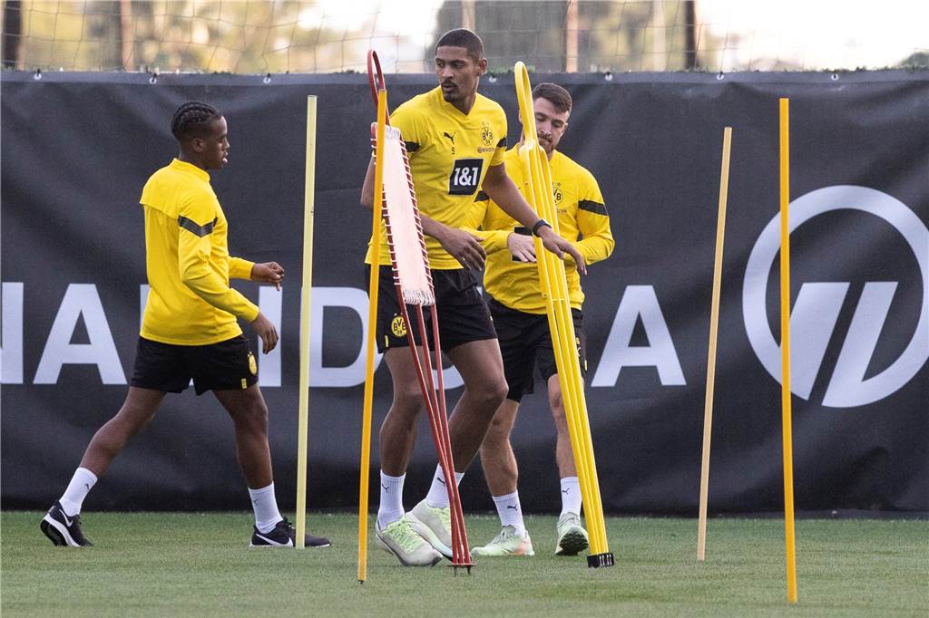 Erstes BVB-Training in Marbella.