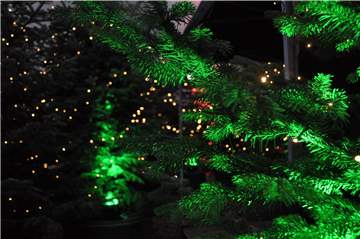 Es glitzert wieder: Am Donnerstag, 21. Dezember, hat in der Selmer Altstadt der Glitzerwald eröffnet.