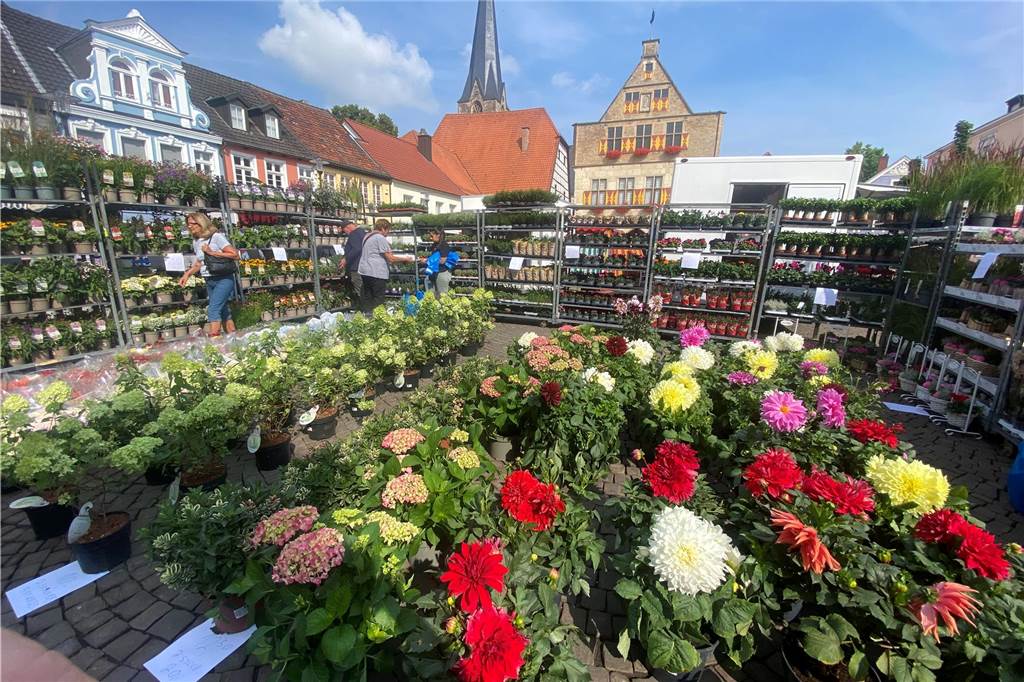 Es ist ein buntes Farbenmeer, das die Kunden bei Blumen Berndt erwartet.