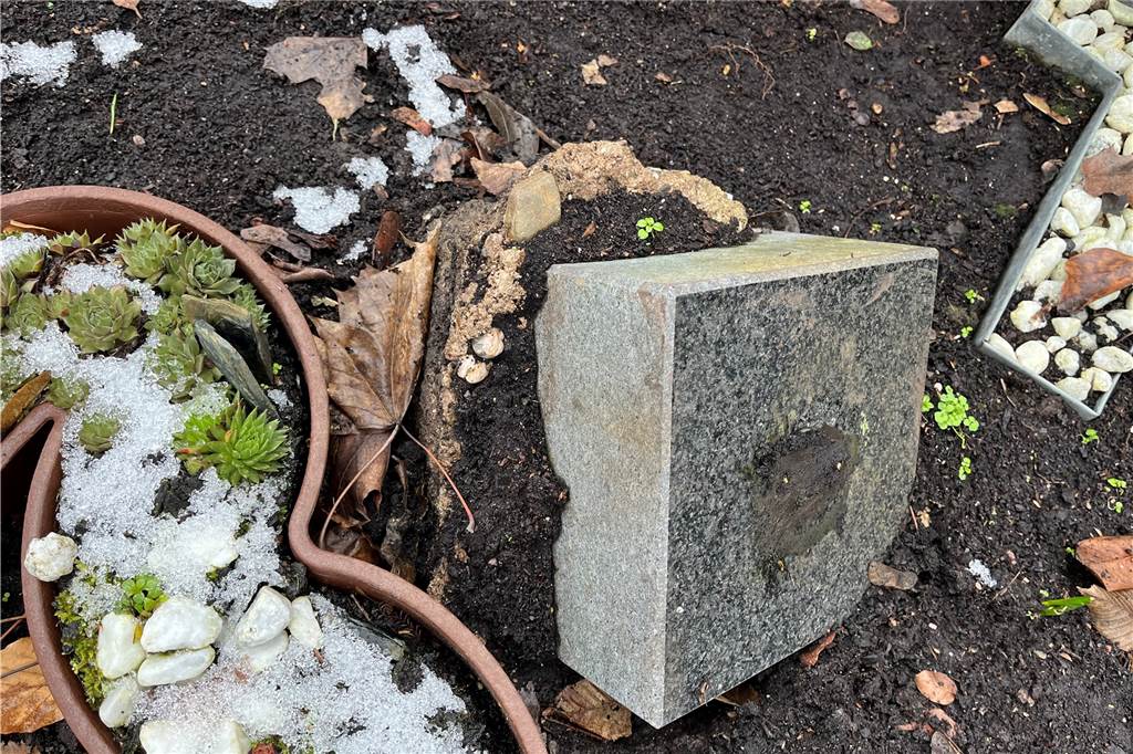 Elisabeth Wolff (58) ist wütend über Grabschändung auf Nordfriedhof Es ist gut zu erkennen, dass der Sockel halb aus der Erde gebuddelt worden ist. Auch die dunklere Schnittstelle ist zu sehen