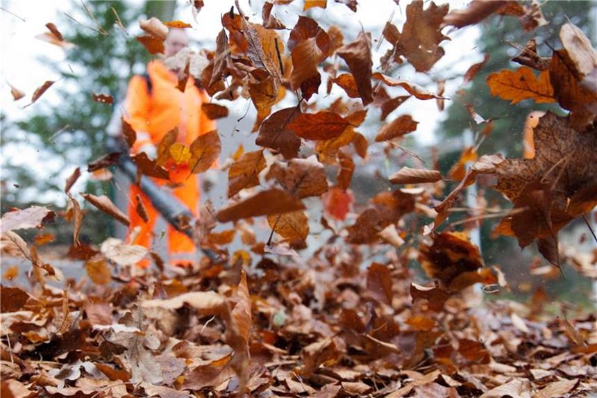 Zehn Anzeichen für den Herbst Es ist Herbst, die Blätter fallen. Foto: Maurizio Gambarini