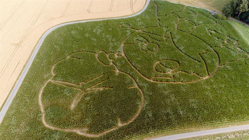 Diese Message hat das Maislabyrinth in Cappenberg Es ist zur Tradition geworden: das Maislabyrinth von Landwirt Benedikt Lünemann. Dieses Jahr steht das Motiv im Zeichen des Klimawandels.