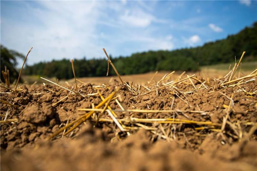 „Es wird weiterhin schöne und schlechte Sommer geben, aber die extremen Sommer werden häufiger auftreten“, sagt Daniela Jacob, Direktorin am Climate Service Center in Hamburg. Foto: Daniel Karmann