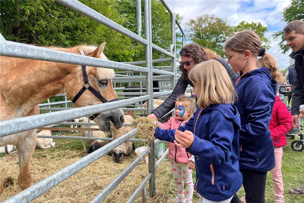 Esel, Pferde, Hühner oder doch ein Alpaka? All diese Tiere gab es hautnah beim Lembecker Tiermarkt. Bei milden Temperaturen zog es zahlreiche Besucherinnen und Besucher auf die Tierwiese.