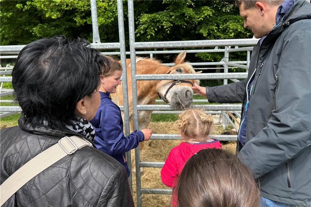 Esel, Pferde, Hühner oder doch ein Alpaka? All diese Tiere gab es hautnah beim Lembecker Tiermarkt. Bei milden Temperaturen zog es zahlreiche Besucherinnen und Besucher auf die Tierwiese.