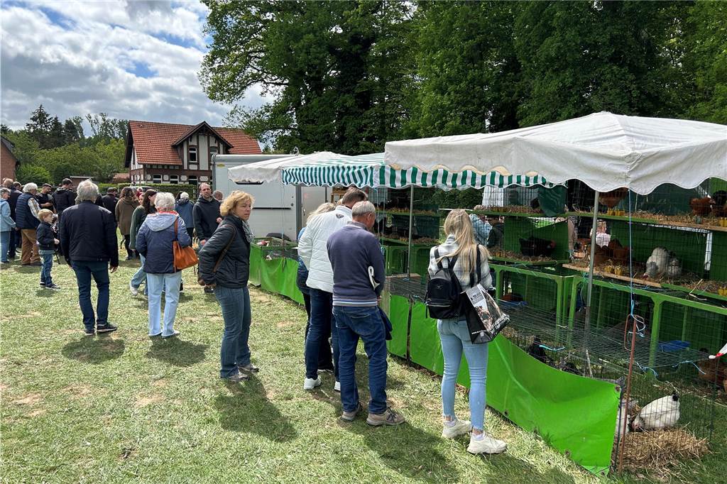 Esel, Pferde, Hühner oder doch ein Alpaka? All diese Tiere gab es hautnah beim Lembecker Tiermarkt. Bei milden Temperaturen zog es zahlreiche Besucherinnen und Besucher auf die Tierwiese.