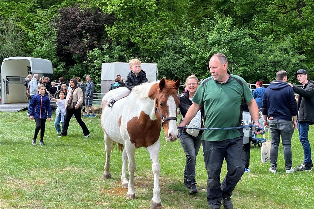Esel, Pferde, Hühner oder doch ein Alpaka? All diese Tiere gab es hautnah beim Lembecker Tiermarkt. Bei milden Temperaturen zog es zahlreiche Besucherinnen und Besucher auf die Tierwiese.
