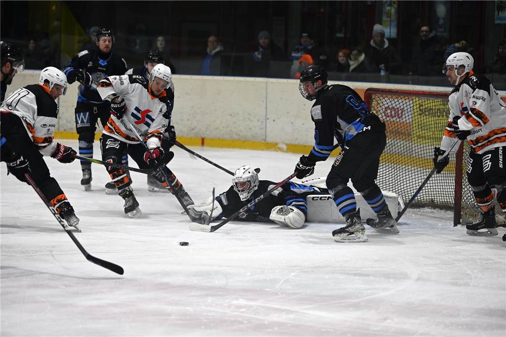 ESV Grizzlys - Dinslaken Cobras
