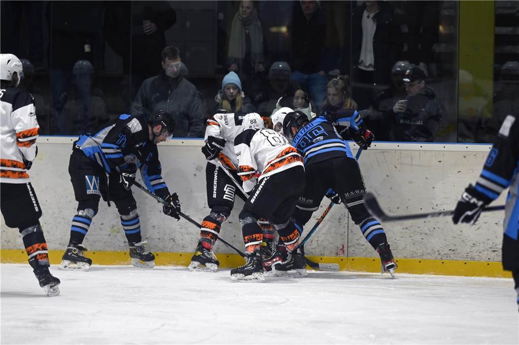 ESV Grizzlys - Dinslaken Cobras
