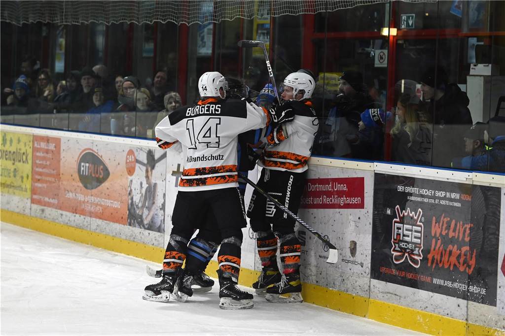 ESV Grizzlys - Dinslaken Cobras