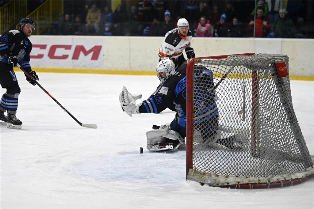 ESV Grizzlys - Dinslaken Cobras