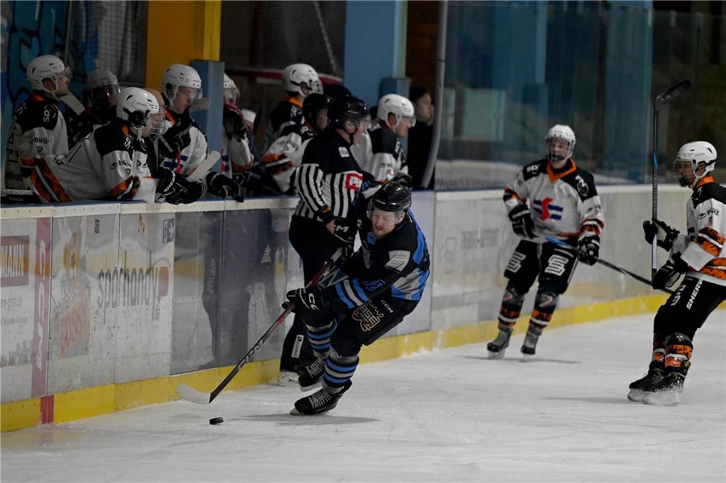 ESV Grizzlys - Dinslaken Cobras