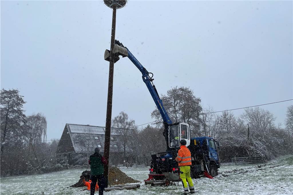 Etwa 10 Meter ragt der Mast in die Höhe. Im Sommer werden auf der Wiese Schafe grasen. Die Störche haben es von dort aus nicht weit zur Lippe und auch an den umliegenden Bächen können sie Futter finden.