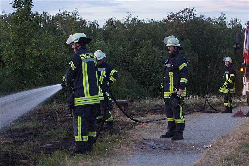 Feldbrand auf ehemaligen Zechengelände in Massen Etwa 500 Quadratmeter Feld brannten hinter der Baumbebauung entlang des Massener Hellweges auf dem ehem. Zechengelände.
