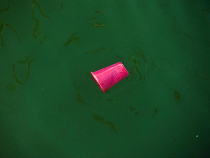 Das wollen Unternehmen: Plastikmüll aus Meeren ziehen Experten schätzen, dass 140 Millionen Tonnen Plastik in den Meeren sind. Foto: Stefan Sauer