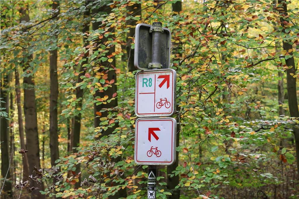 Zwei kleine, untereinander angeordnete Schilder, zeigen mit Pfeilen und Fahrradsymbolen, wo die Fahrradwege langführen.