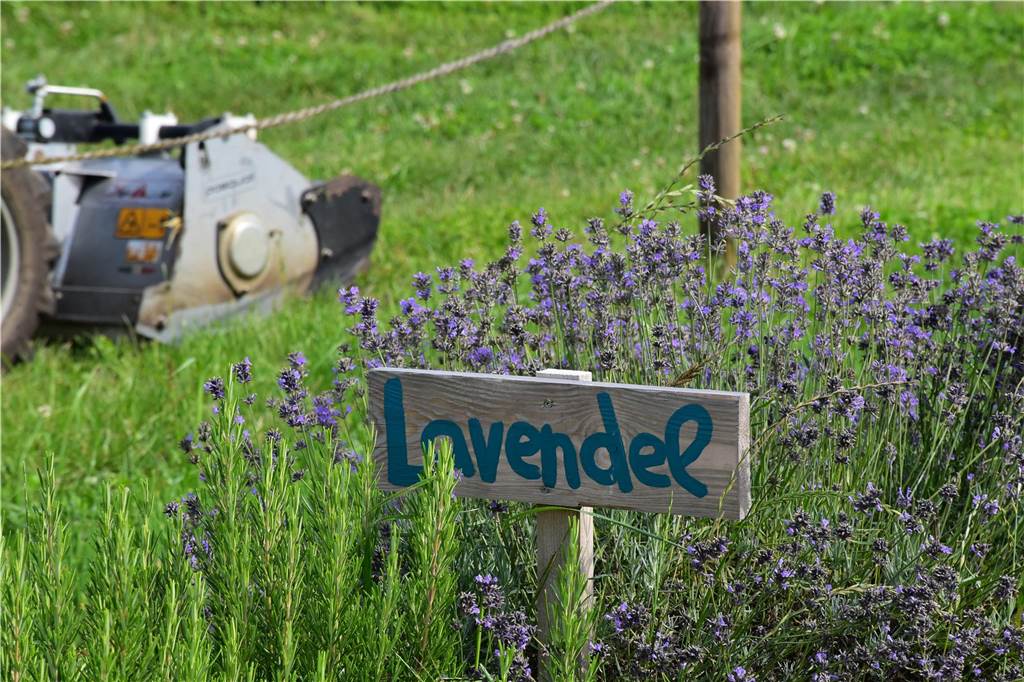 Eindrücke vom Gelände der solidarischen Landwirtschaft in Waltrop.