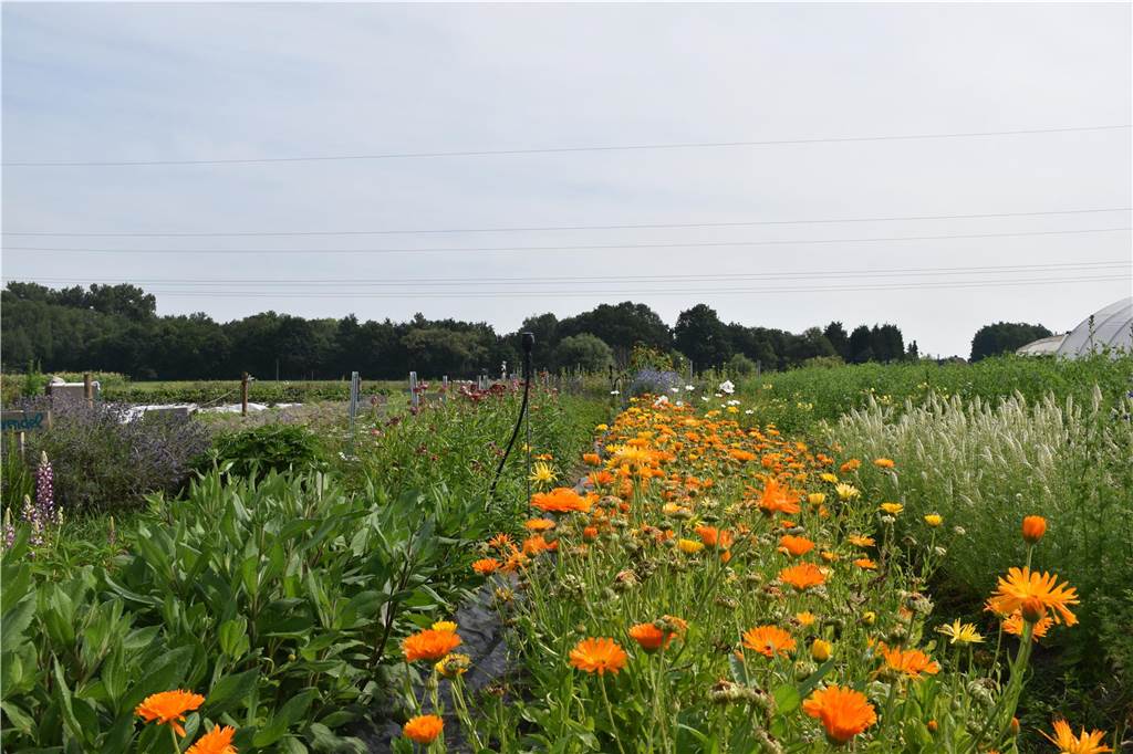 Eindrücke vom Gelände der solidarischen Landwirtschaft in Waltrop.
