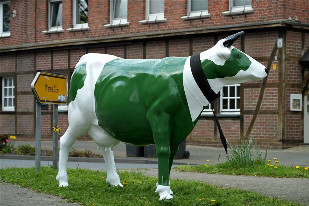 Fast 50 Kühe haben ihren Platz in der Gemeinde für die neue Freiluft-Ausstellung gefunden.