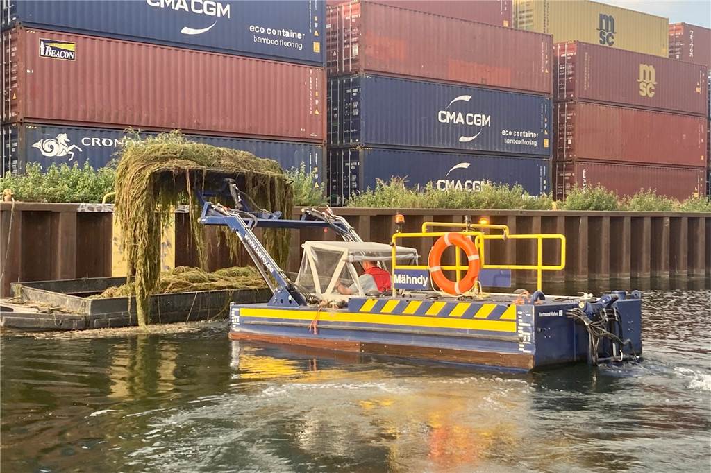 Mehr Arbeit als je zuvor: Im Dortmunder Hafen wird der Klimawandel deutlich sichtbar Fast täglich ist das Arbeitsboot "Mähndy" im Dortmunder Hafen unterwegs, um Wasserpflanzen zu mähen und einzusammeln.
