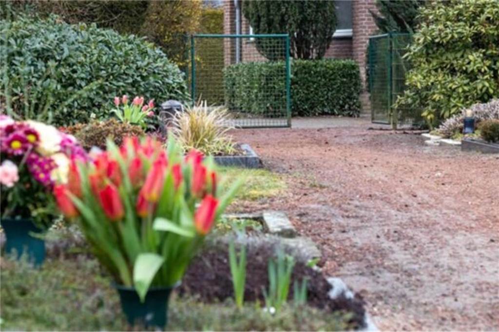 Nach Friedhofs-Plündereien: Verdeckte Ermittlungen und eine Haftstrafe Der Friedhof in Heek