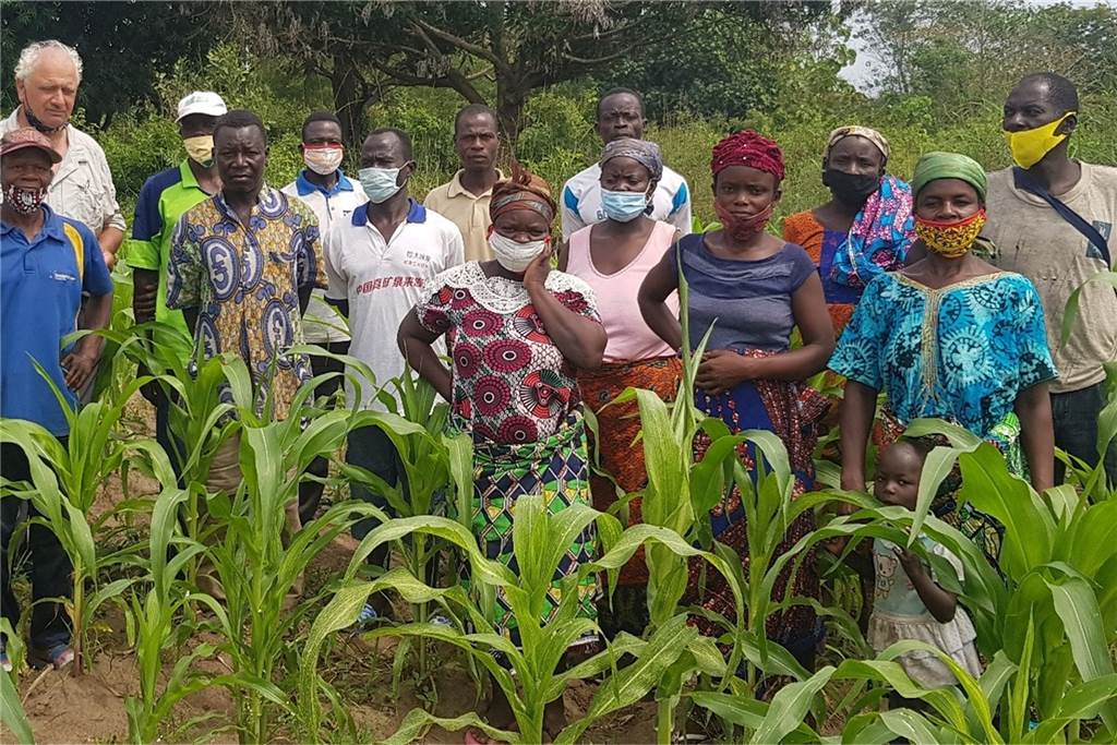 Ein Landwirt aus Südlohn hilft in Togo – und bleibt nun mehrere Jahre Feldbegehung: Durch das erste Projekt konnte der Maisertrag deutlich gesteigert werden. Hermann Schulze Herking baut die Unterstützung der Landwirtschaft in Togo nun nachhaltig aus.