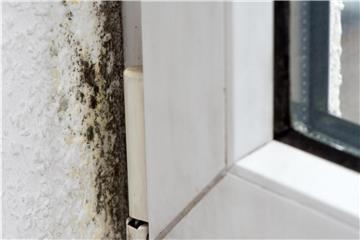 Fensterlaibungen sind besonders anfällig für Schimmelbildung. Denn hier befinden sich oft sogenannte Wärmebrücken. Foto: Andrea Warnecke/dpa-tmn