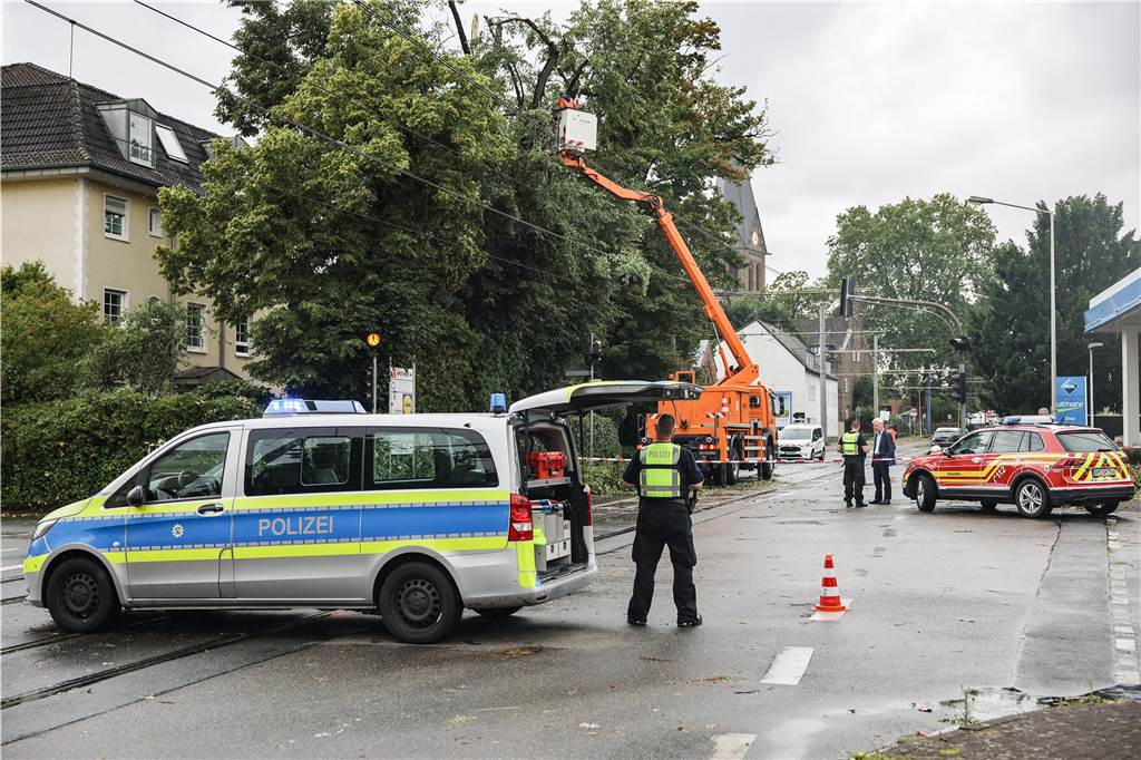 Feuerwehrleute sägen Ästen von einem beschädigten Baum.