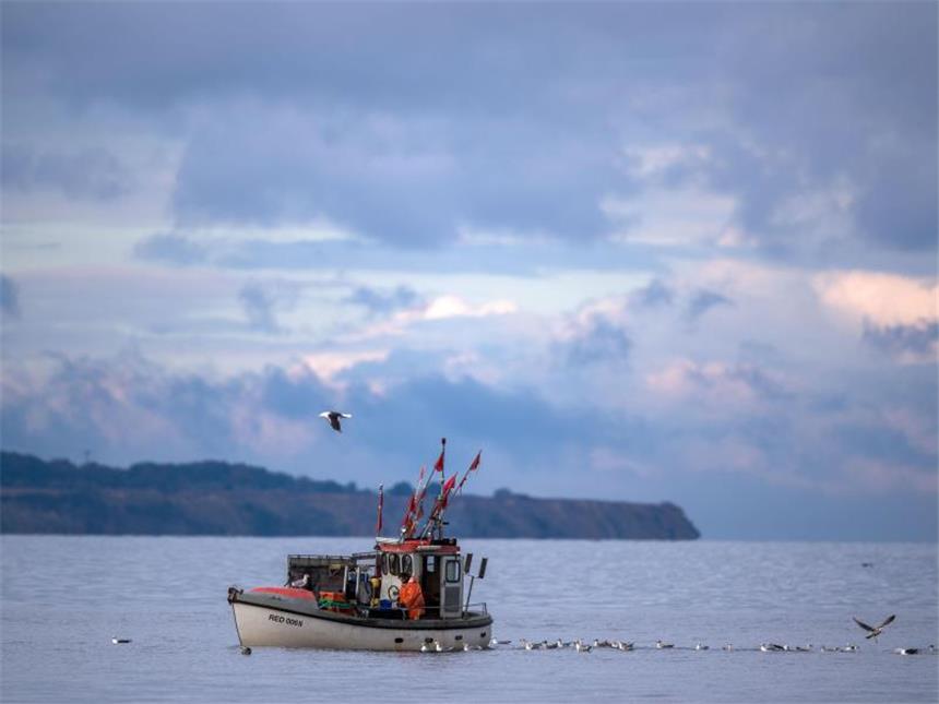 Neue Ostsee-Fangmengen sind beschlossen Fischkutter vor Timmendorf auf der Ostseeinsel Poel. Nach langem Feilschen steht nun fest: Im kommenden Jahr darf weniger Dorsch, dafür mehr Scholle, Hering und Sprotte in der Ostsee gefangen werden. Foto: Jens Büttner